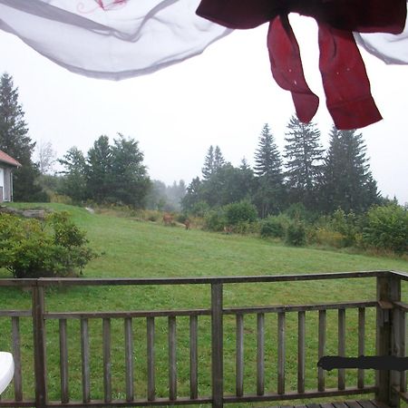 Les Angeliques Apartment Gerardmer Exterior photo